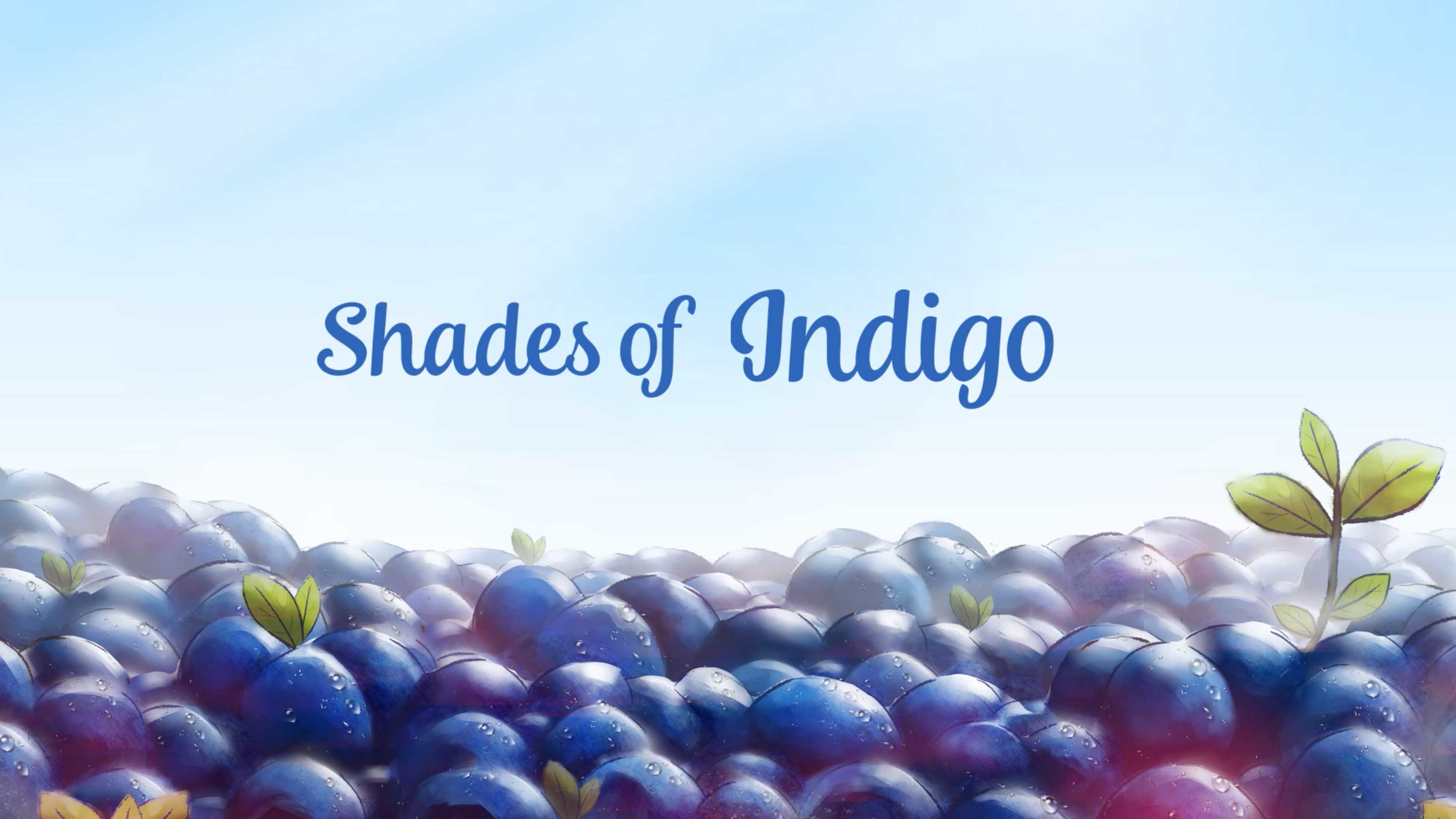 Shades of Indigo