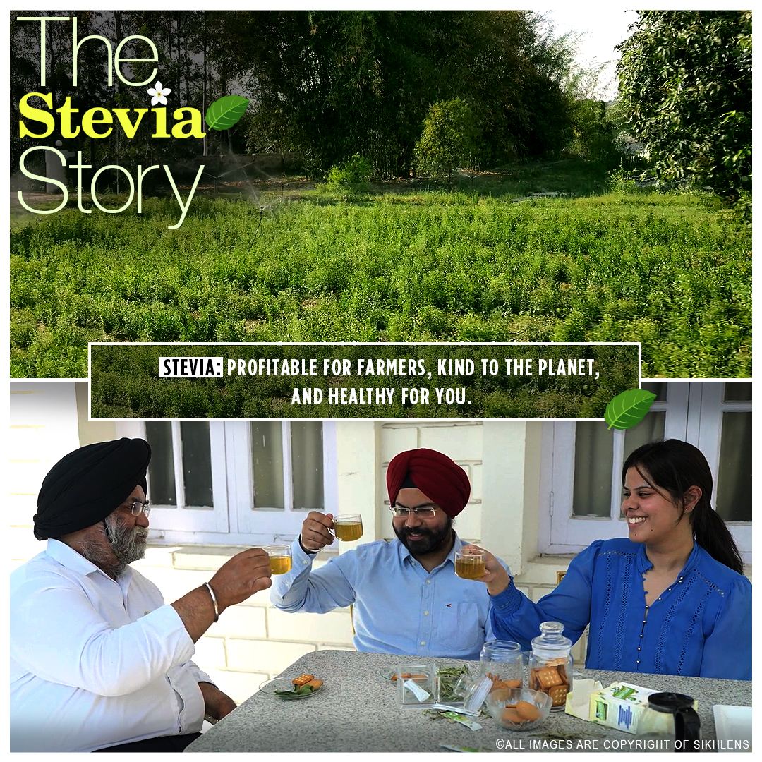 Plant floor · The Stevia Story