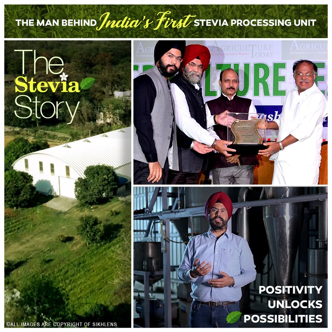 Punjab · The Stevia Story